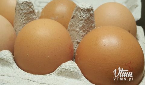 VTMN.pl - Jajka czy jeść? Co  cholesterolem?